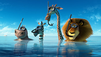 Madagascar movie HD wallpaper