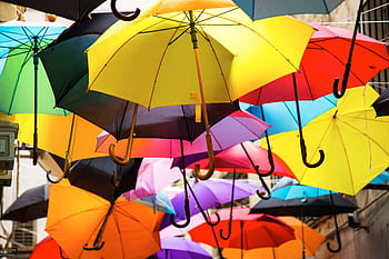 Vibrant display of colorful umbrellas suspended outdoors, creating a lively atmosphere. HD wallpaper
