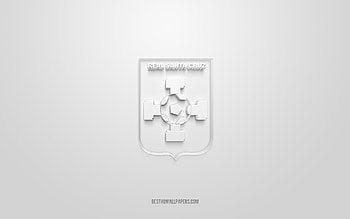 Real Santa Cruz, creative 3D logo, white background, Bolivia Primera Division, 3d emblem, Bolivian football Club, Bolivia, 3d art, football, Real Santa Cruz 3d logo HD wallpaper