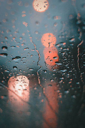 Drops, Reflection, Macro, Wet, Surface, Flow, Drips, Bokeh, Boquet HD phone wallpaper