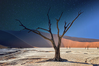 Namibia Deadvlei Panorama , landscape, mountains, nature HD wallpaper