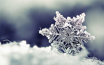 Winter, Snow, Macro, Snowflake HD wallpaper