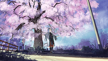 Anime, Sakura, Petals, Girl, Neko HD wallpaper