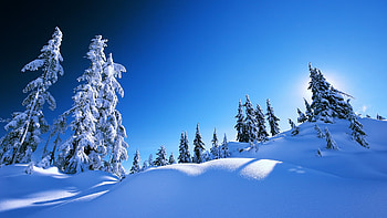Winter landscape, blue, winter, slope, snow, trees, beautiful, sky, mountain HD wallpaper