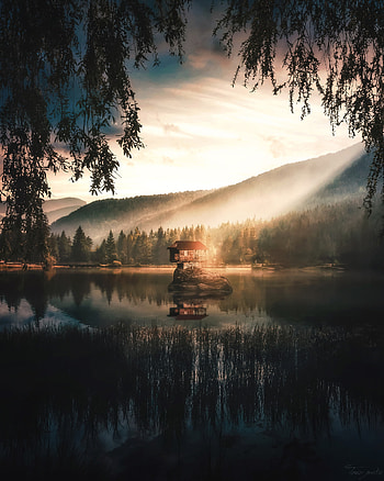 Nature, Lake, Forest, Fog, House, Island HD phone wallpaper