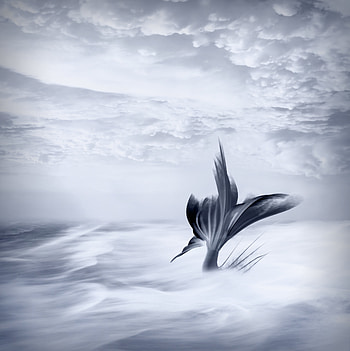 Art, Clouds, Tail, Mermaid HD phone wallpaper