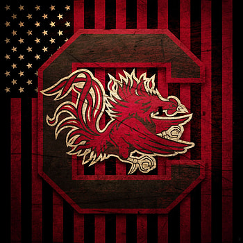 Gamecock Android , Eye-catching designs, Mobile backgrounds, Team pride HD phone wallpaper