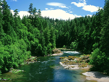 Landscape, Rivers, Trees HD wallpaper