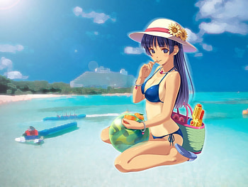 beach Ball, other, sexy, girls, anime HD wallpaper