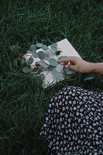 Grass, Hand, Miscellanea, Miscellaneous, Branch, Book, Lawn HD phone wallpaper