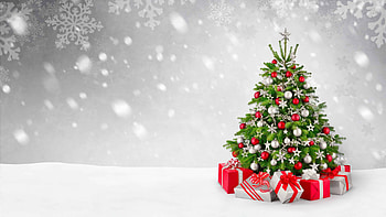 Christmas tree delight, Gift-giving season, U , Festive joy HD wallpaper