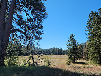 Palomar Mountain Hiking Trip in July - Doane Valley, landscape, California, mountain, tree, graphy, nature HD wallpaper