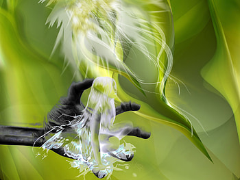 Pixie in hand, pixie, animation, art, nice HD wallpaper
