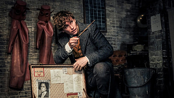 David Yates movies, Fantastic Beasts guide, Parental examples, Working guidelines HD wallpaper