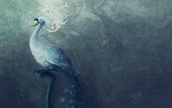 Peacock, fantasy, art, minimalistic, textures HD wallpaper