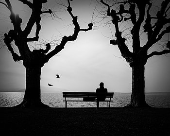 Silhouette, Miscellanea, Miscellaneous, Bw, Chb, Loneliness, Bench HD wallpaper