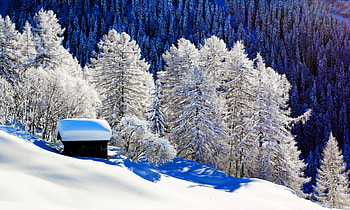 Snowy cottage on mountain slope, winter, frost, slope, house, cold, beautiful, mountain, snow, trees, view, cottage, lovely HD wallpaper