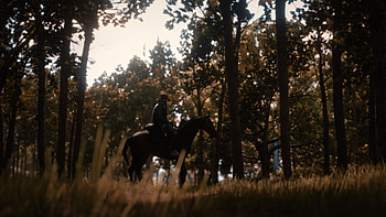Red Dead Redemption 2 - In the woods, Red Dead Redemption 2, Rockstar Games, Arthur Morgan, landscape HD wallpaper