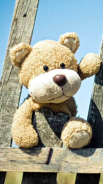 Cute Summer, Teddy Bear HD phone wallpaper