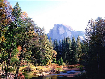 Half dome, forests, nature HD wallpaper