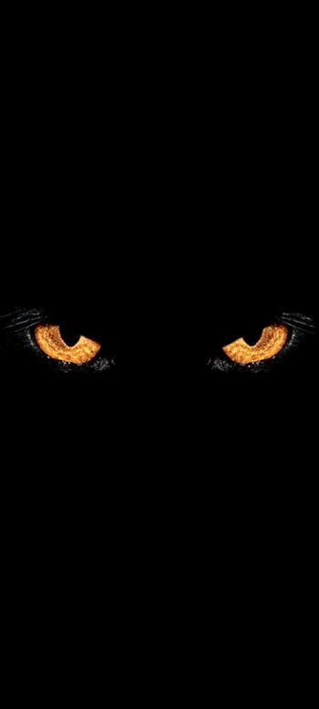Eyes in the dark, cat, fierce, night, black HD phone wallpaper