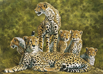 Cheetah Family, cheetah, family, painting, animals HD wallpaper