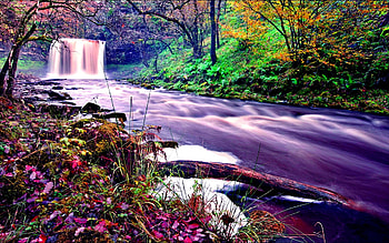 FOREST RIVER FALLS, river, waterfalls, nature, forest HD wallpaper