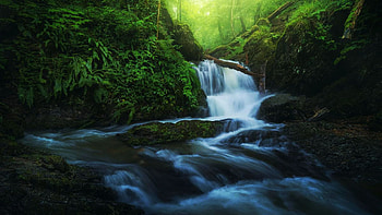 Waterfall in Belgium, cascades, trees, rocks, forest, river HD wallpaper