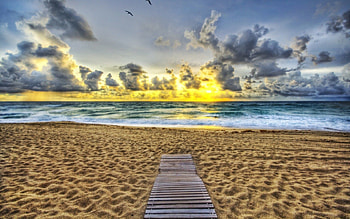 Nature, Birds, Sunset, Beach, Sand, Shore, Bank, Evening, Track HD wallpaper