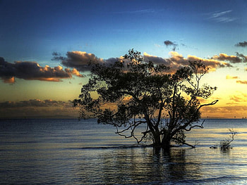 The Gentle Splashing of the Sea Against the Shore, sea, shore, splashing, gentle HD wallpaper