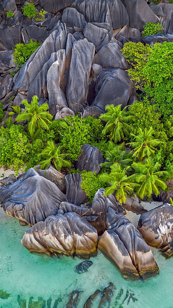 Anse Source d'Argent Beach, Geology HD phone wallpaper