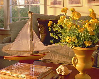 of the sea, books, shell, table, ship, room, window, vase, flowers HD wallpaper