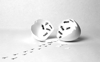 bye, egg, graphy, bw, funny, wp, track HD wallpaper