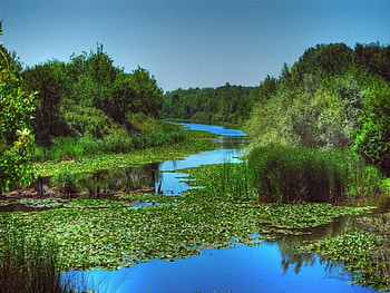 green with the blue, blue, green HD wallpaper