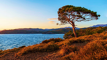 Cliffs near Karaot Beach, Turkey, trees, sea, sky, coast, landscape HD wallpaper