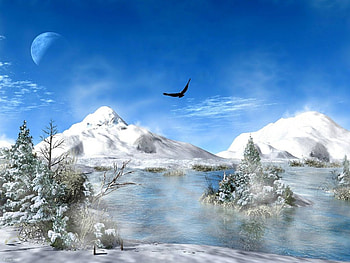 winterday, winter, nature, snow, scenic HD wallpaper