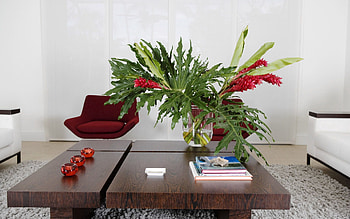 Plant, Miscellanea, Miscellaneous, Table, Furniture, Coziness, Comfort HD wallpaper