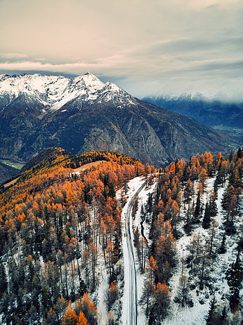 Nature, Trees, Mountains, Snow, Road, Forest, Snow Covered, Snowbound HD phone wallpaper