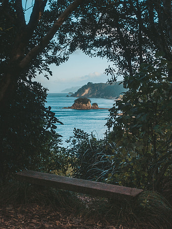 Nature, Trees, Sea, Bush, Rocks, Shore, Bank, View HD phone wallpaper