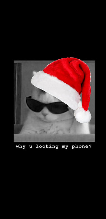 Cat screen Christmas, glasses, sunglasses, Cats, cat Christmas, Cat with Sunglasses, lock screen, cat with glassed, cat lock screen, Christmas cat HD phone wallpaper