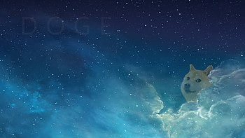 Doge Meme - afari HD wallpaper