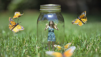 Butterflies Bank Art, butterfly, artist, digital-art, art, girl HD wallpaper