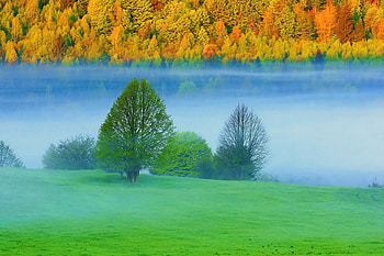 Hazey, green, trees, colors, autumn, grass, haze, water HD wallpaper