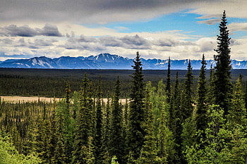 Nature, Mountains, Snow, Forest, Fir, Spruce, Snow Covered, Snowbound, Dahl, Distance HD wallpaper