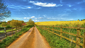 Country house, Road and field, Landscape beauty, Serenity captured HD wallpaper
