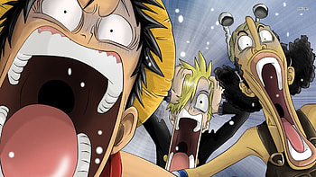 One Piece: 