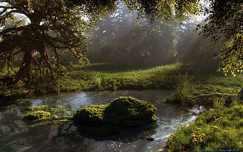 Nature, Trees, Forest, Pond HD wallpaper
