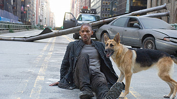 Watch I Am Legend, Neon aesthetic, Immersive experience, Unique perspective HD wallpaper
