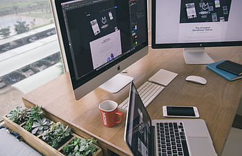 Sleek office desk setup featuring Apple computers and greenery for a modern work environment. HD wallpaper