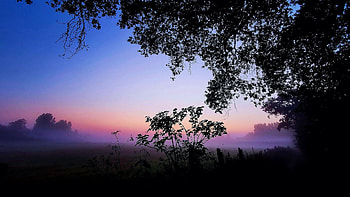 Misty Sunrise, northern, landscape, trees, colors, germany, sky HD wallpaper